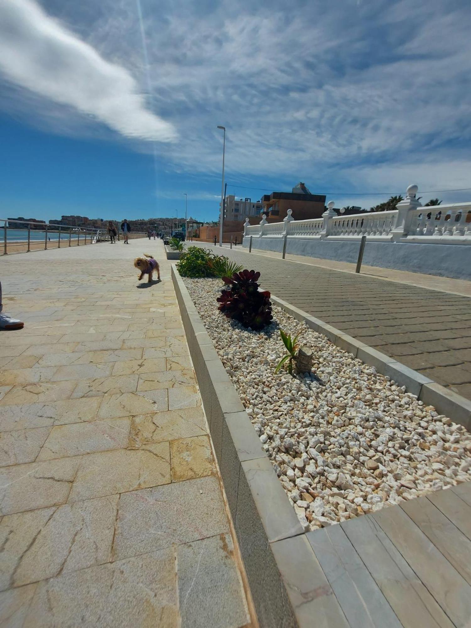 Maravillosa Terraza Con Vistas Al Mar, La Mata Torrevieja Dış mekan fotoğraf
