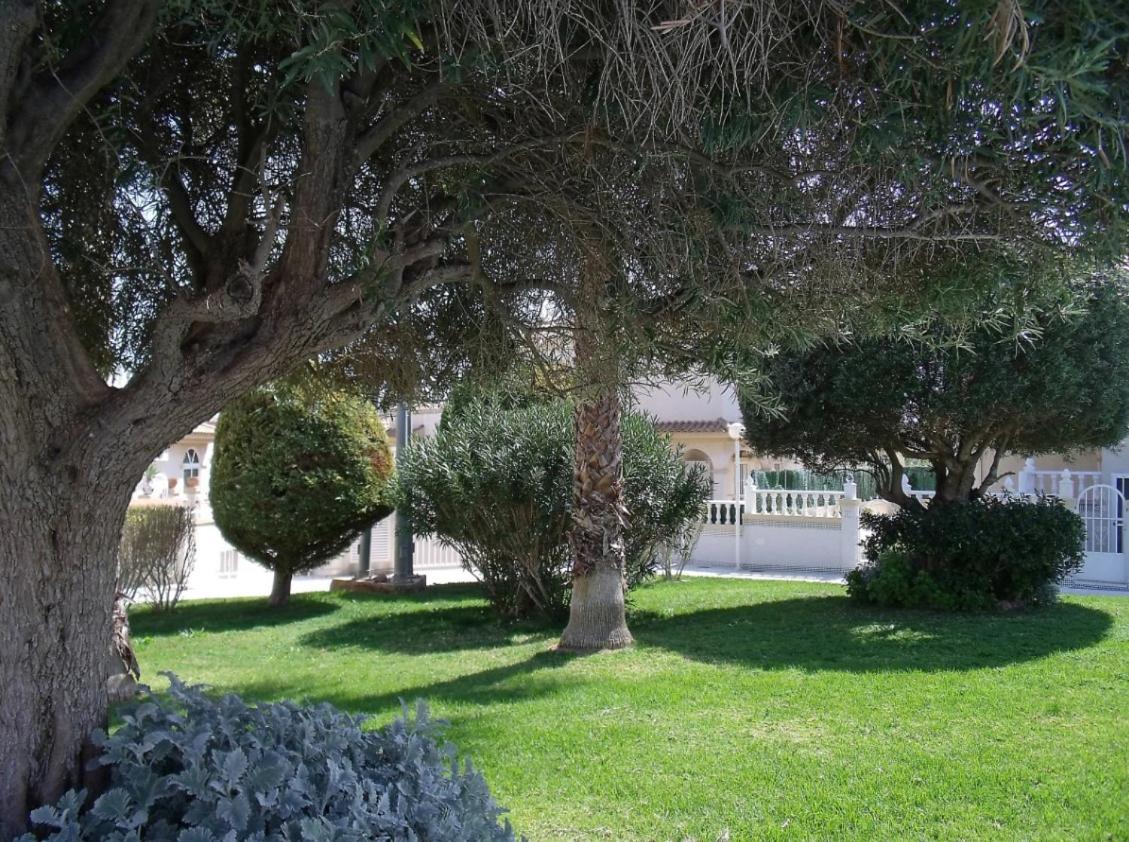 Maravillosa Terraza Con Vistas Al Mar, La Mata Torrevieja Dış mekan fotoğraf